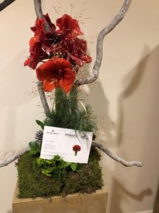 Het Hospice de Winde